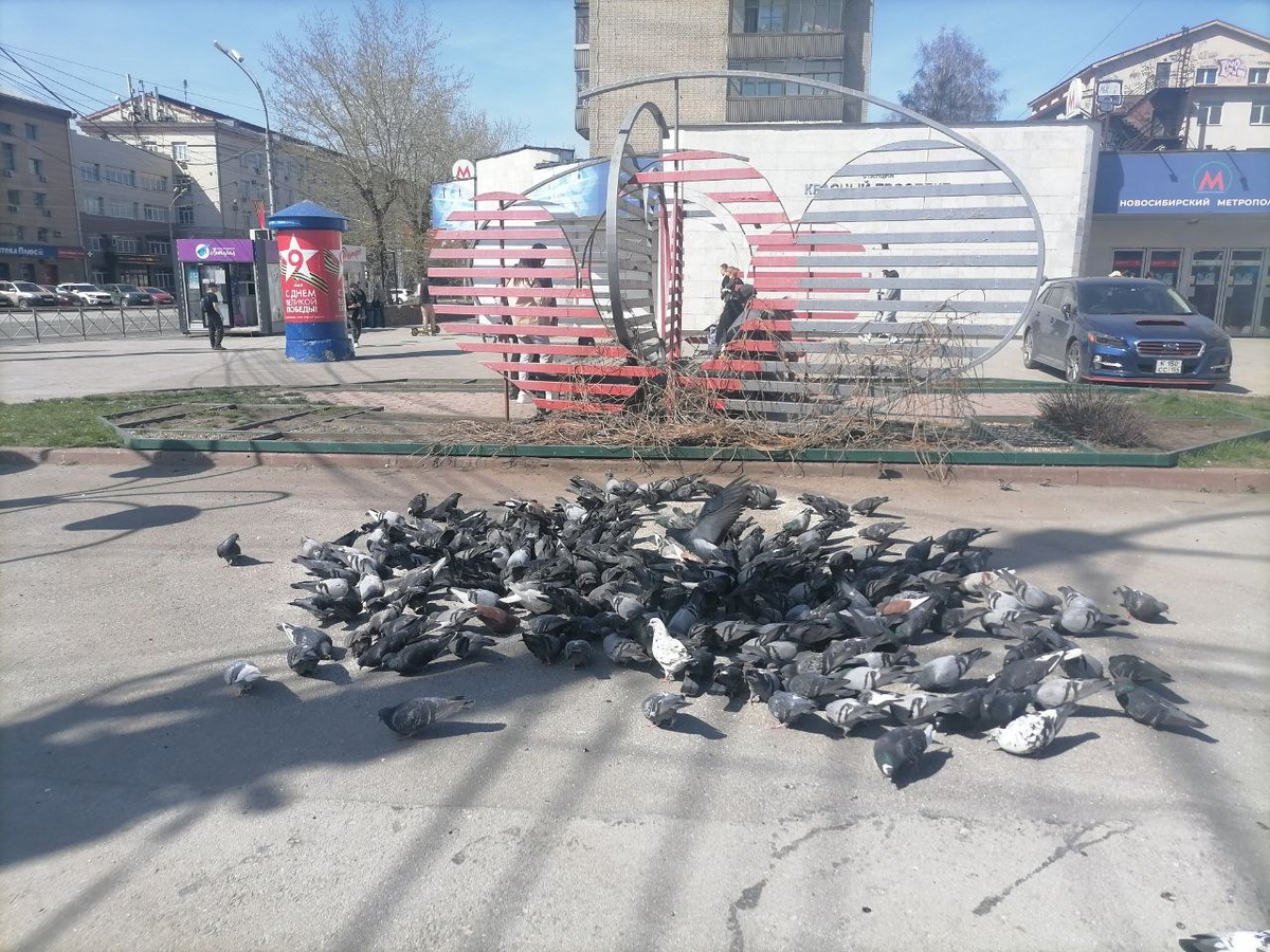 В Новосибирск придет похолодание.  Фото: Фото: ФедералПресс / Екатерина Ломакина