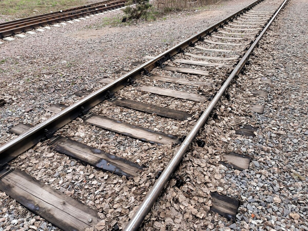     / Источник: © Maksim Konstantinov/Global Look Press