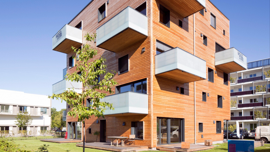    Фото: www.globallookpress.com/Thomas Robbin; 5-tv.ru