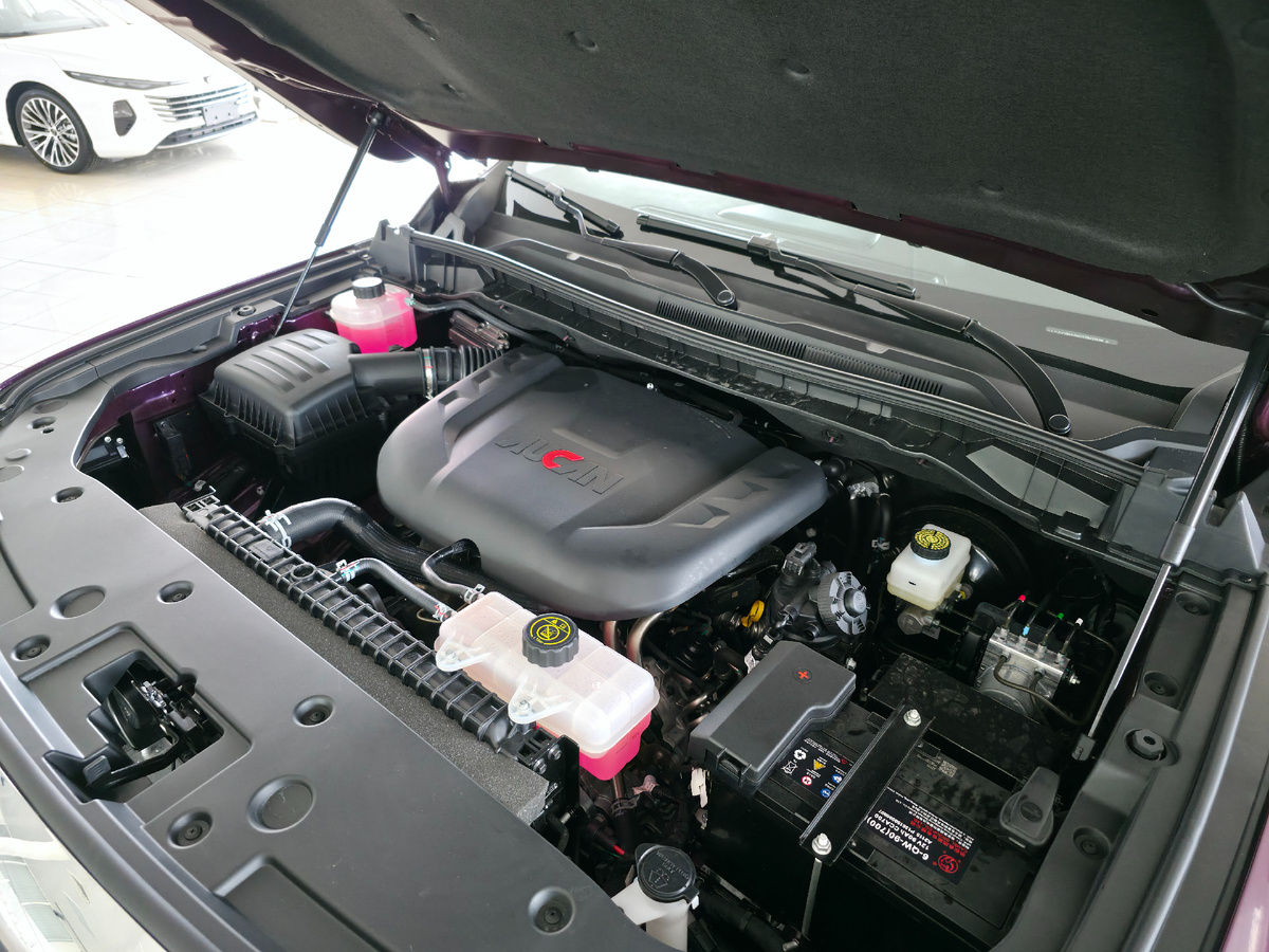 Двиагтель Foton Tunland V9 