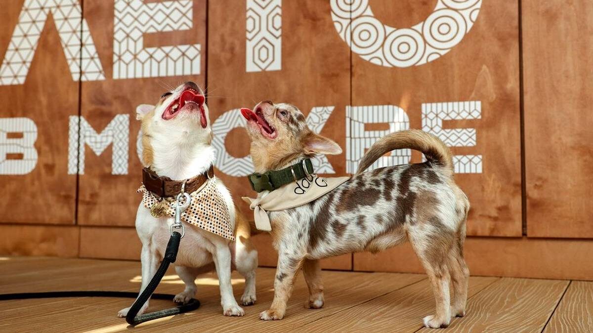    Фото: Ярослав Чингаев / АГН Москва