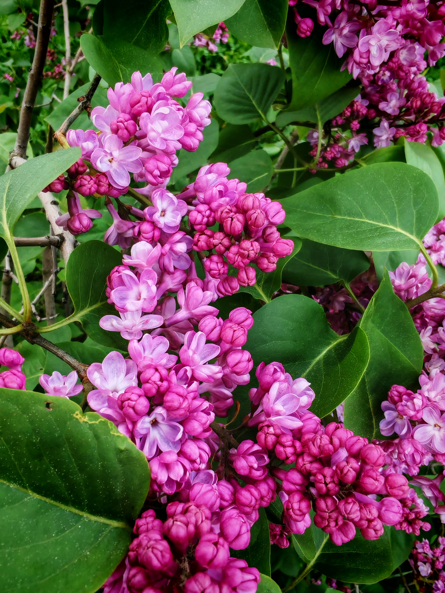 Очень красиво!