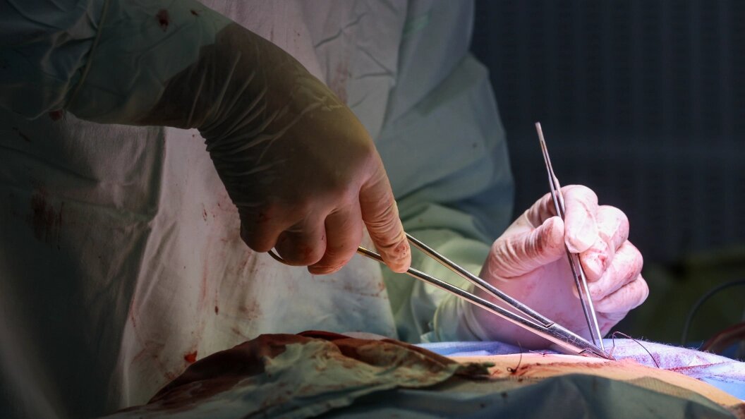    Belkin Alexey/news.ru/Globallookpress