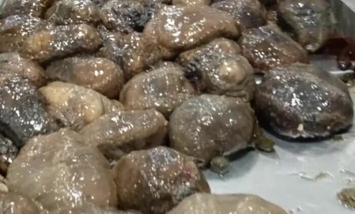 В советские времена морские огурцы считались самым настоящим деликатесом и были не всем по карману. \ Фото: google.com.