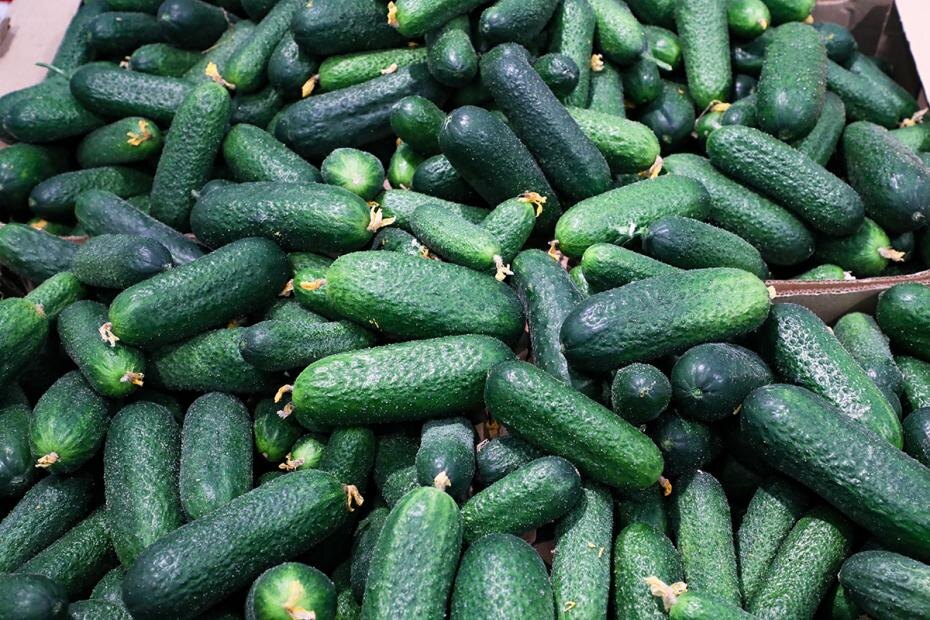    Сергей Петров/NEWS.ru