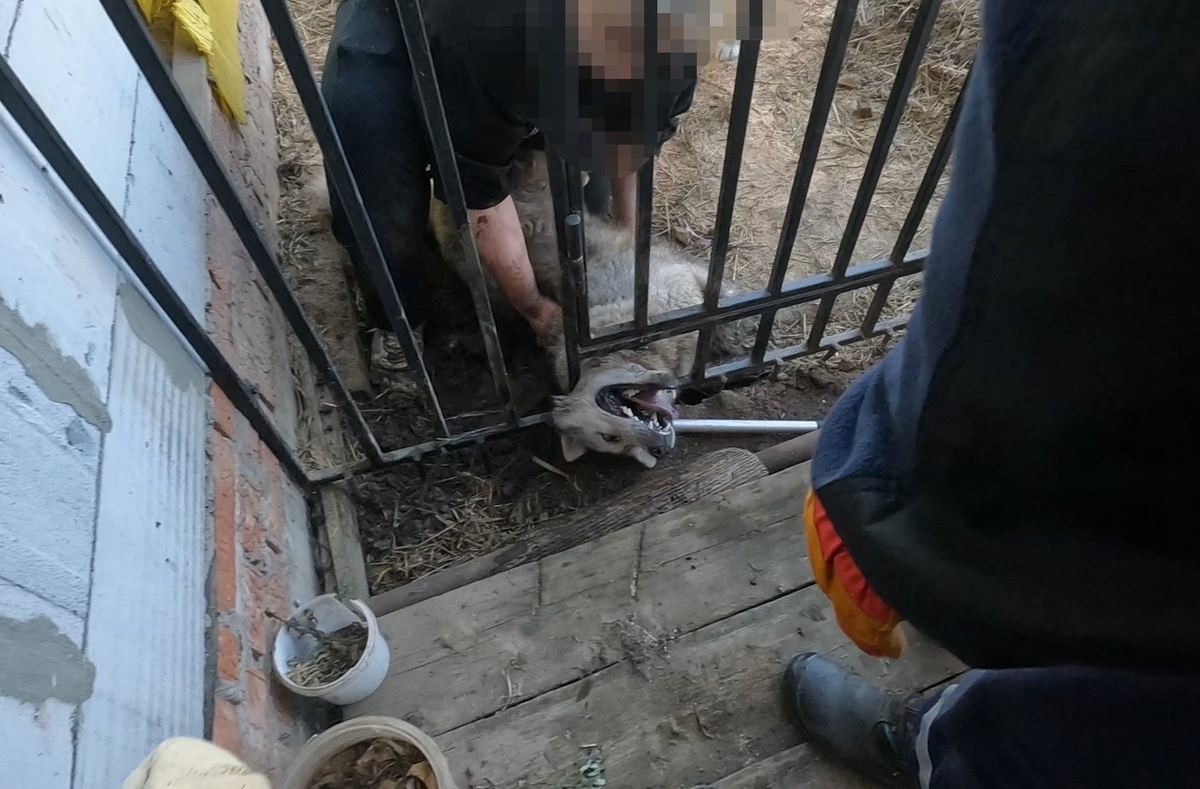    © Поисково-спасательная служба КМО