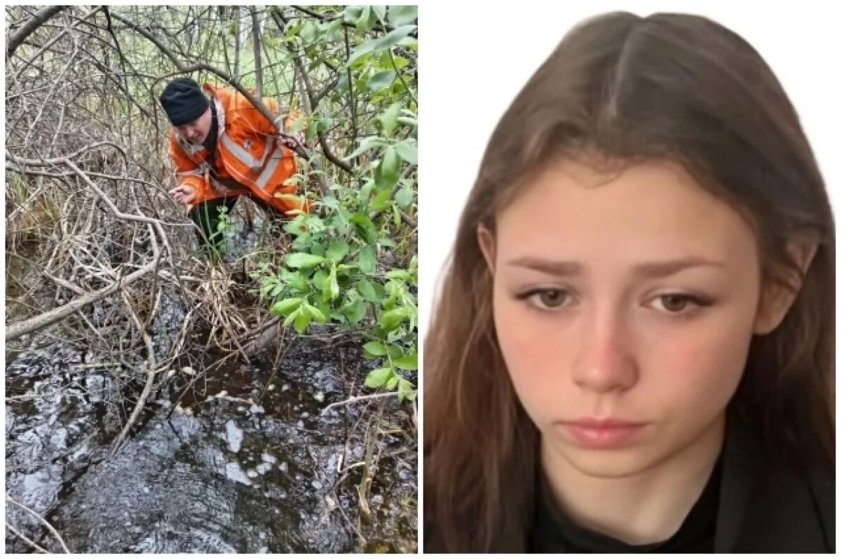    Девочку ищут в лесу.