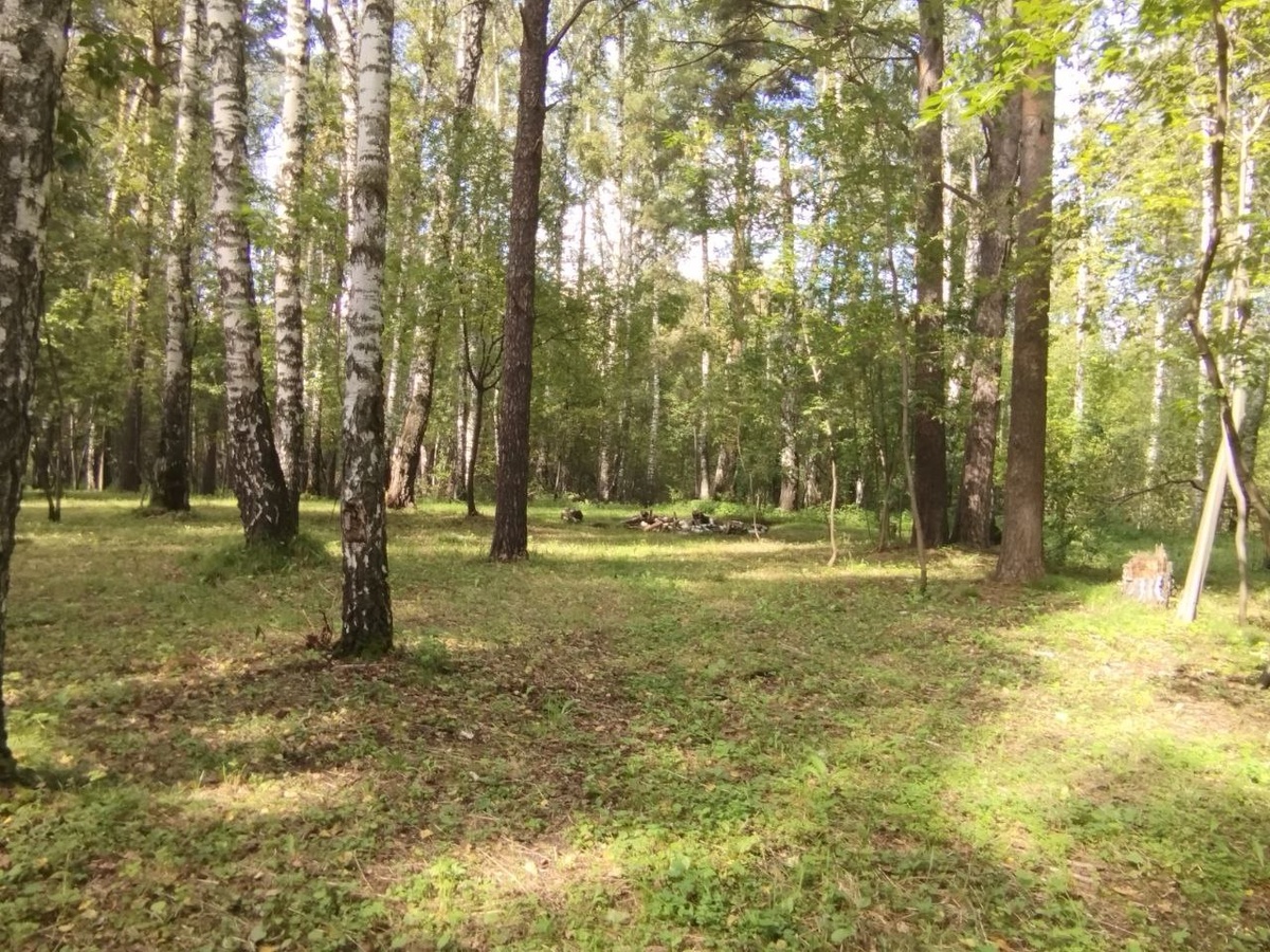 Будет солнечно в начале недели.  Фото: Фото: ФедералПресс / Екатерина Ломакина