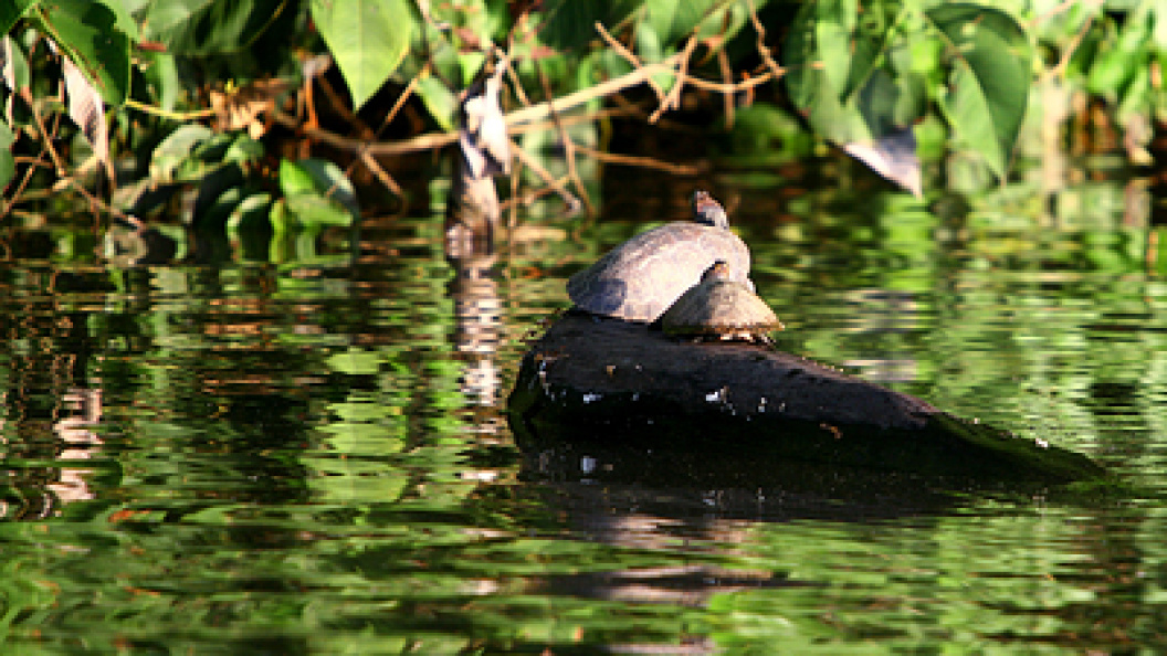    Фото: Anna Ponomareva/Globallookpress