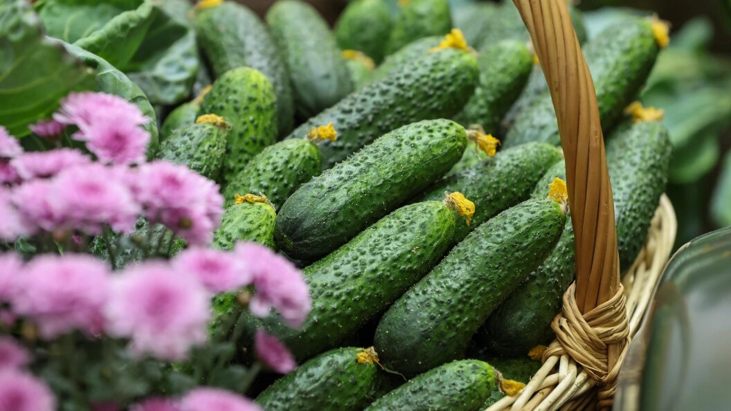    Фото: Belkin Alexey/news.ru/Globallookpress