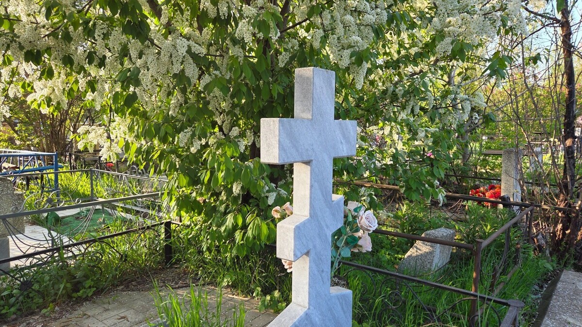     Автор: KubanPress