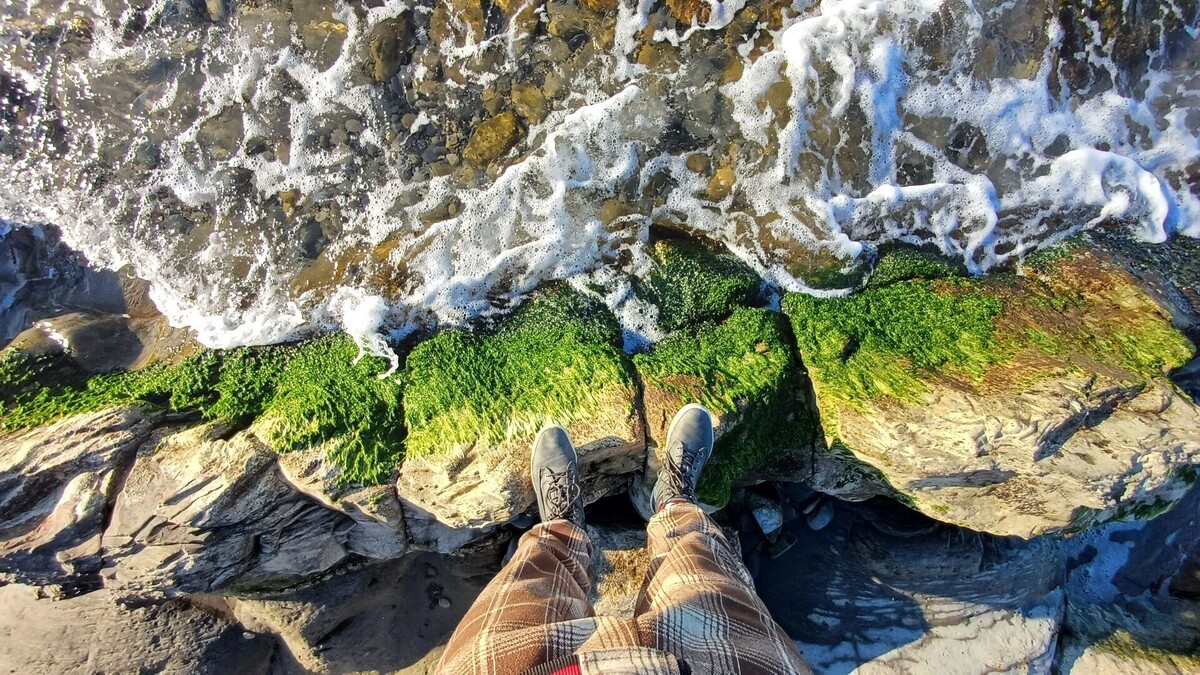     Автор: KubanPress