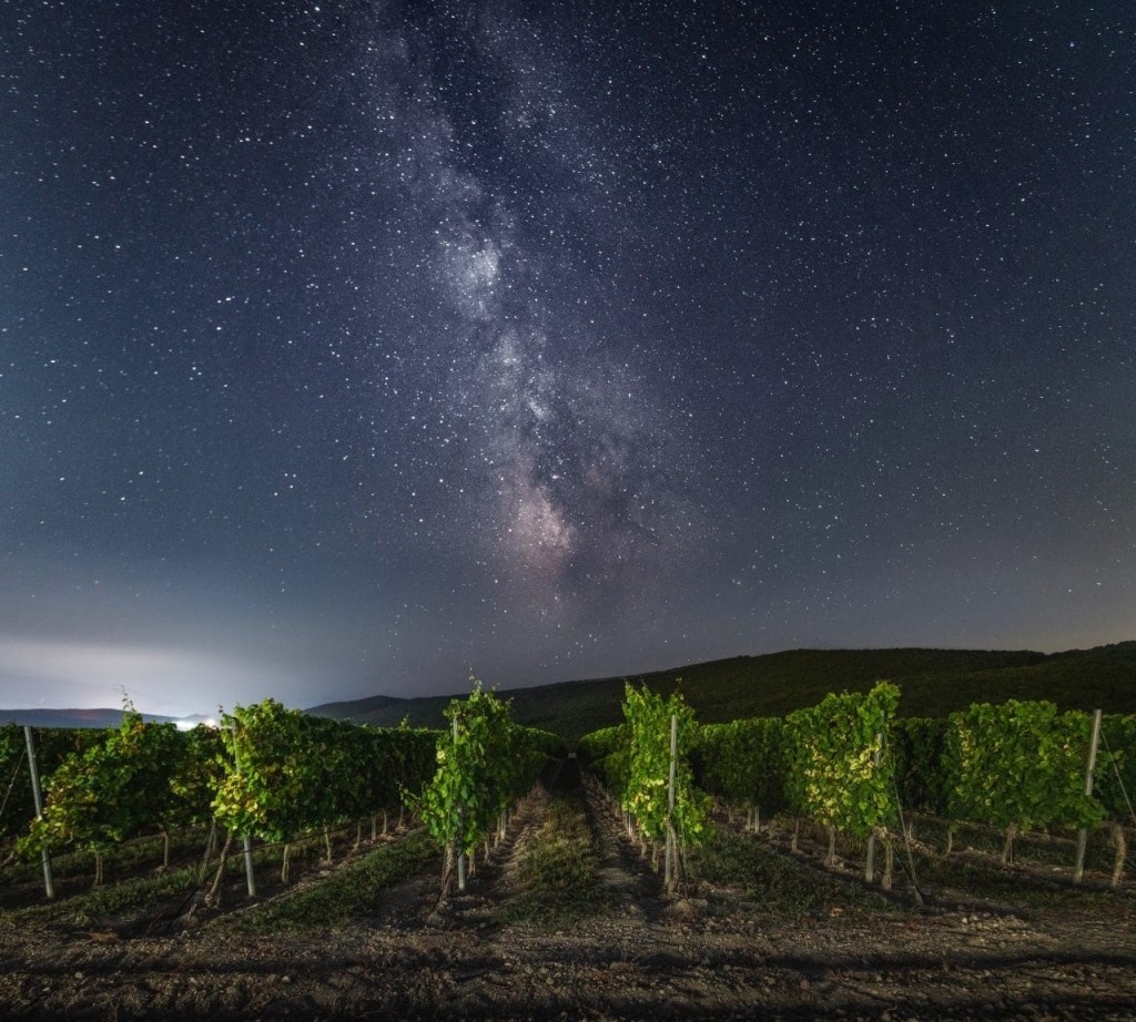 Скалистый берег