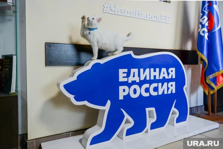 Челябинская область вошла в число регионов-лидеров по активности жителей в праймериз. Фото: Вадим Ахметов © URA.RU