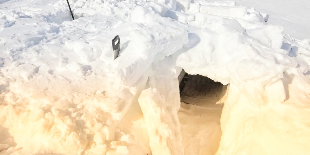 "Зимняя тайга: когда выживание — не просто слово"