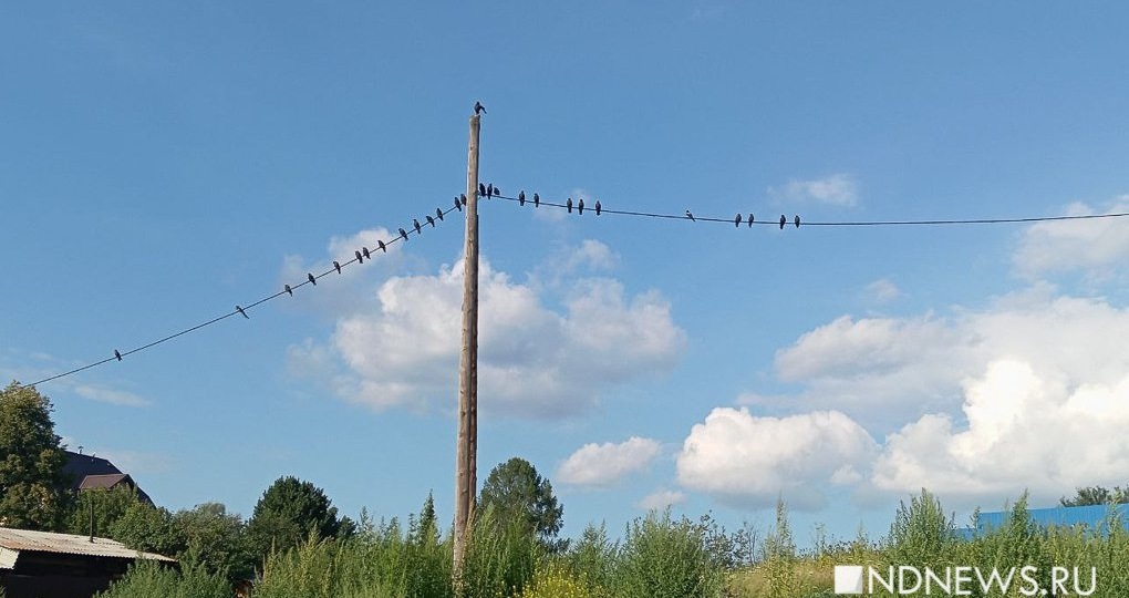 На Урал идет настоящая летняя жара