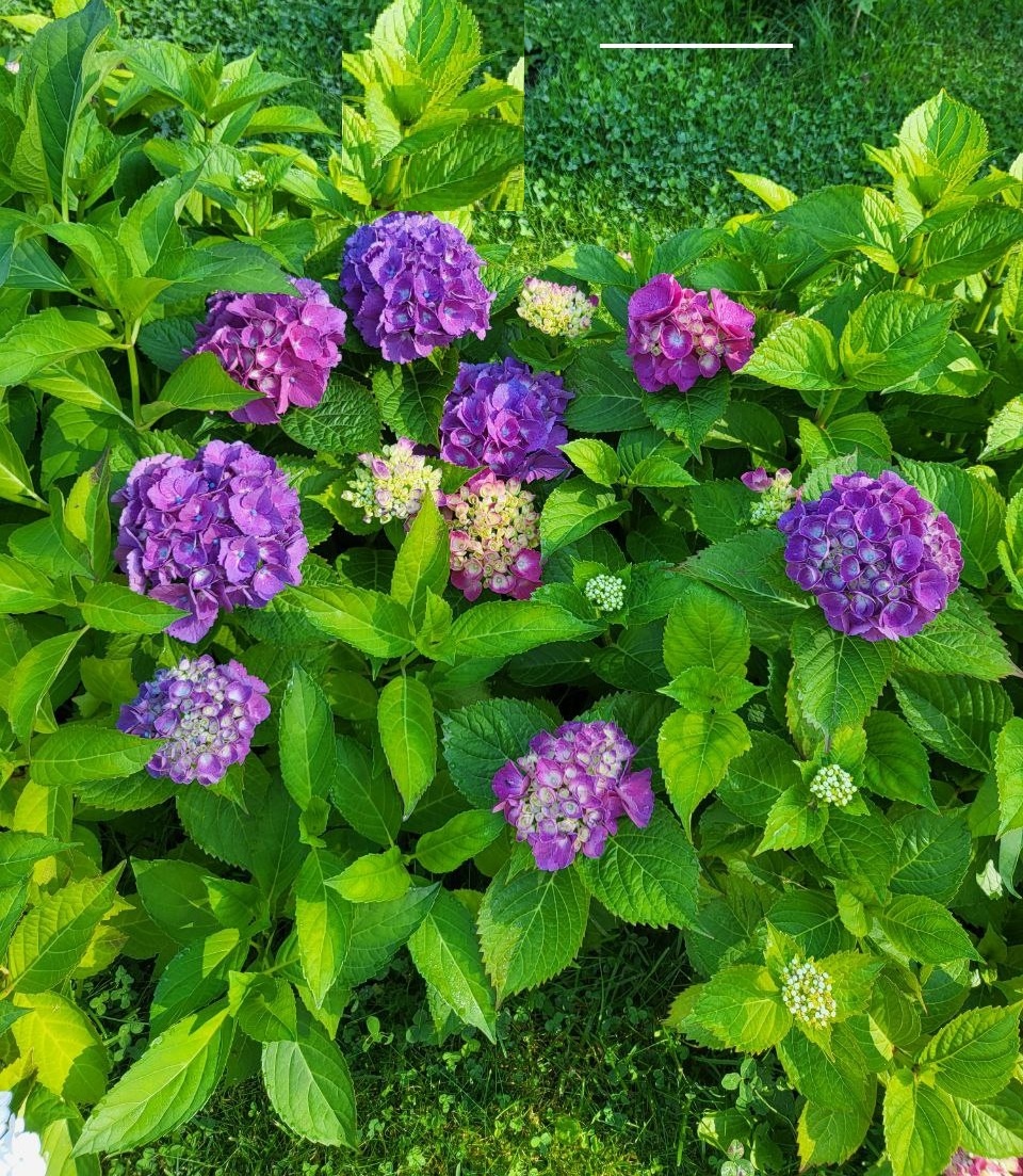 Фото из личного архива