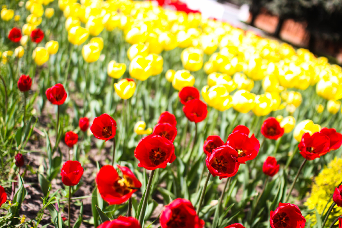 Илья Тушев / Вести Подмосковья 