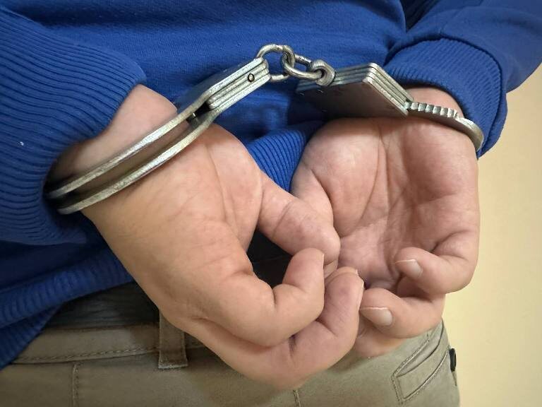 Фото: пресс-служба ГУ МВД России по Челябинской области