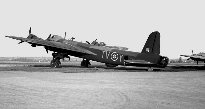 Картинки Яндекса. 