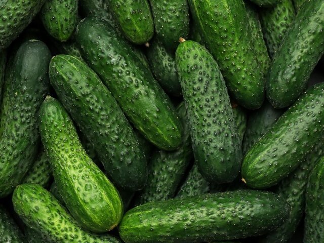    Фото: 123RF/liudmilachernetska