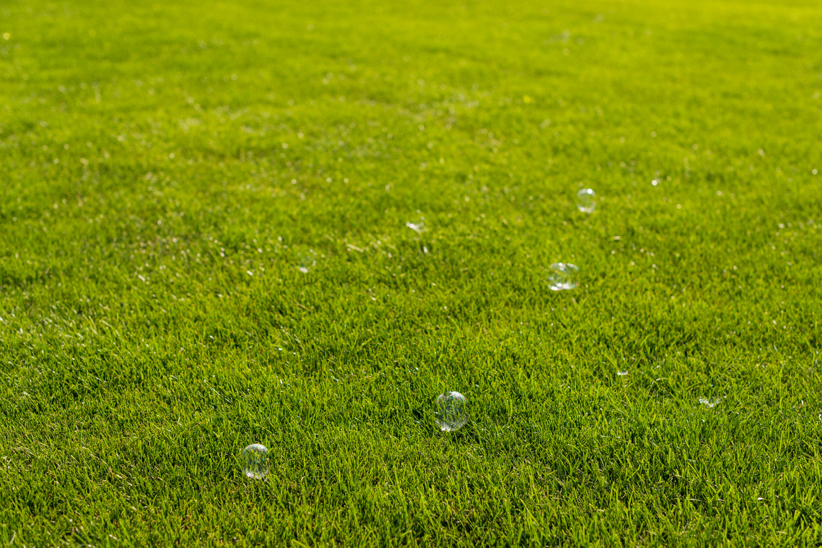 Изображение от freepik