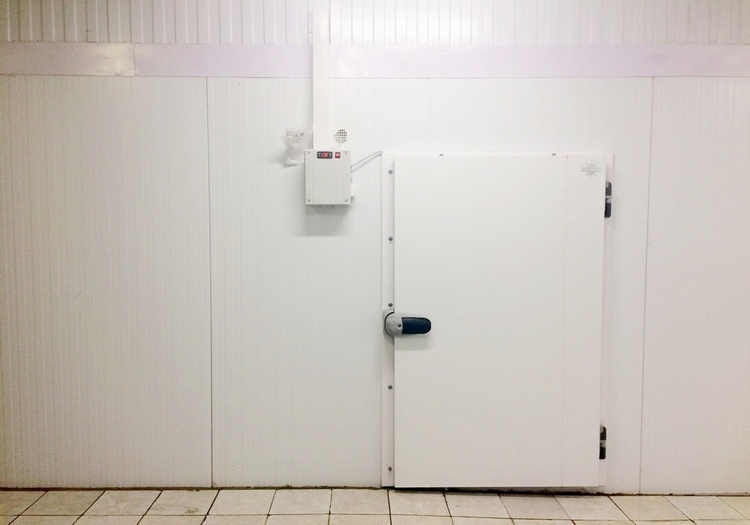 Распашная холодильная дверь