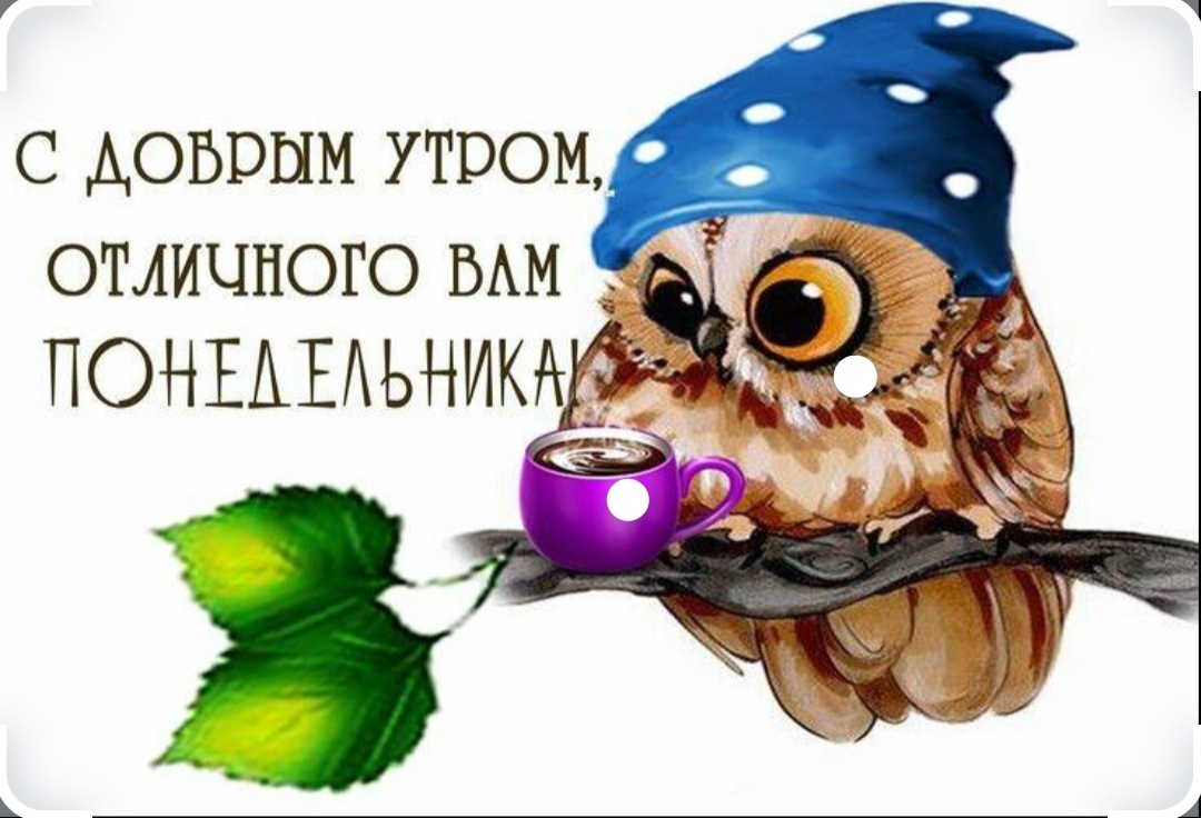 Фото взято из открытых источников интернета