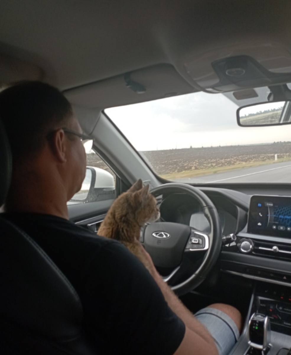 2024 год, Элис едет домой. С моря. 