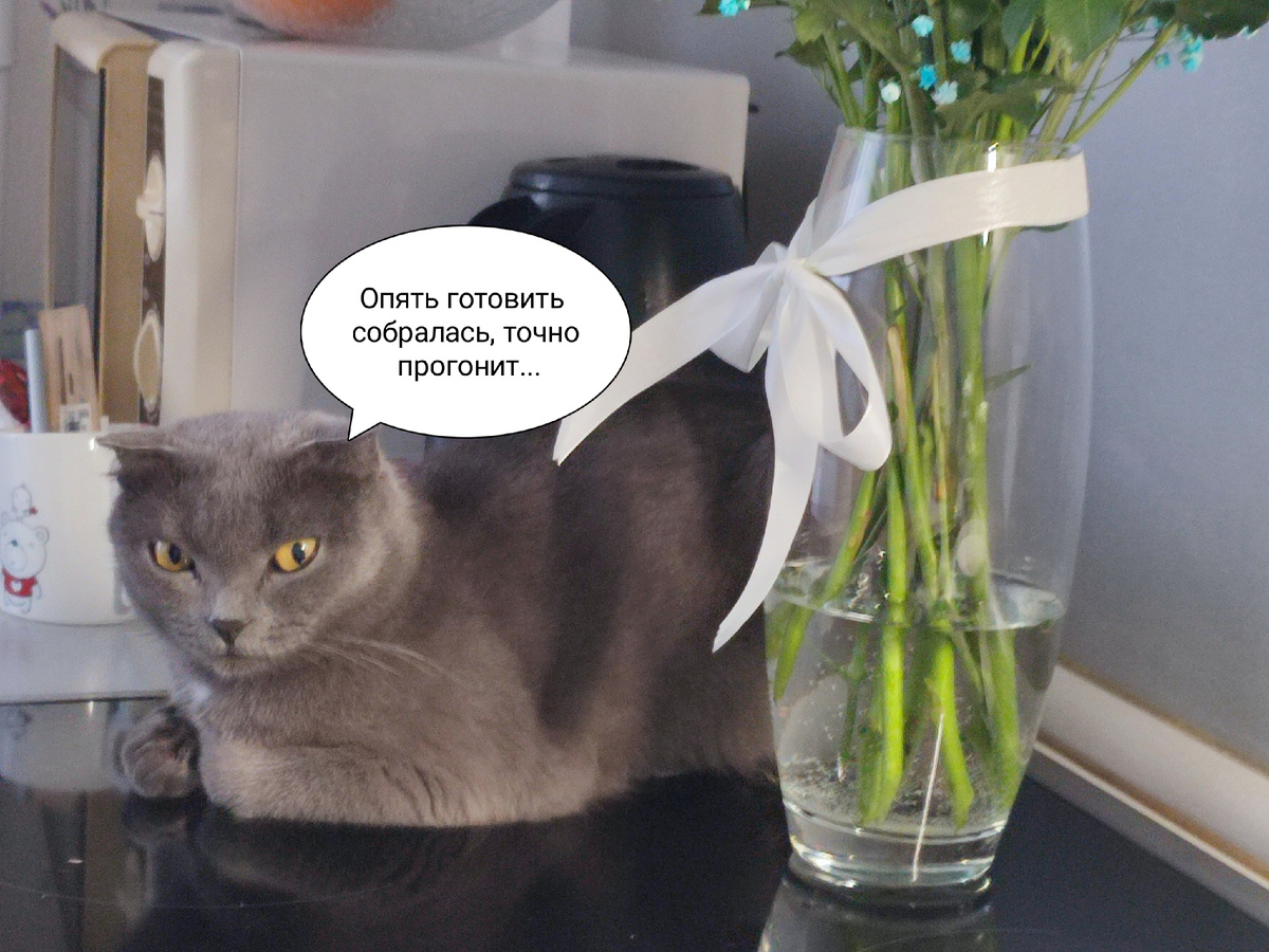 А эта моя гостья, которая любит лежать именно на плите 