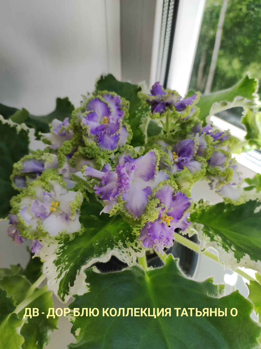 Вот такой интересный спорт!!!