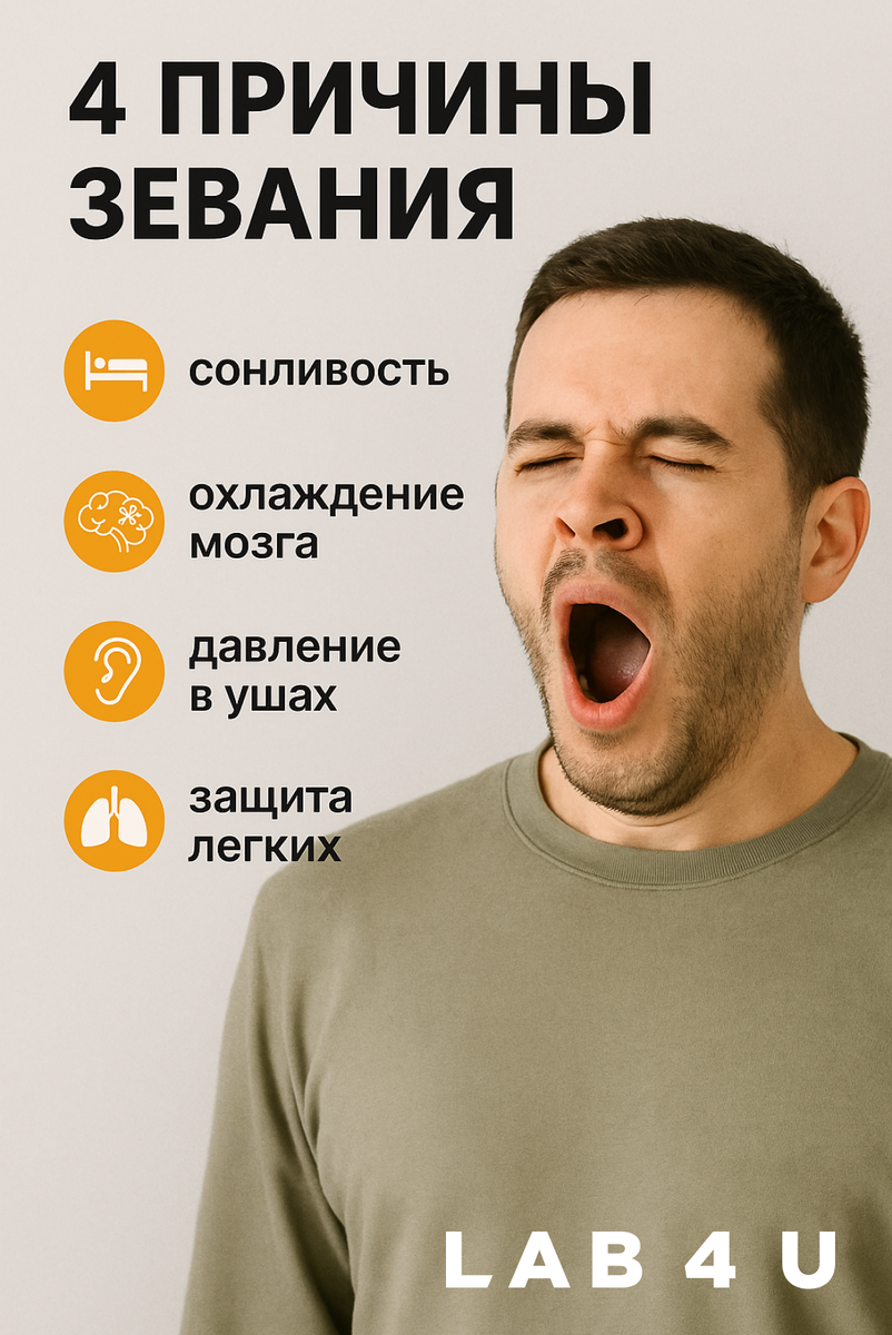 Зевота — это не про кислород, как мы думали раньше