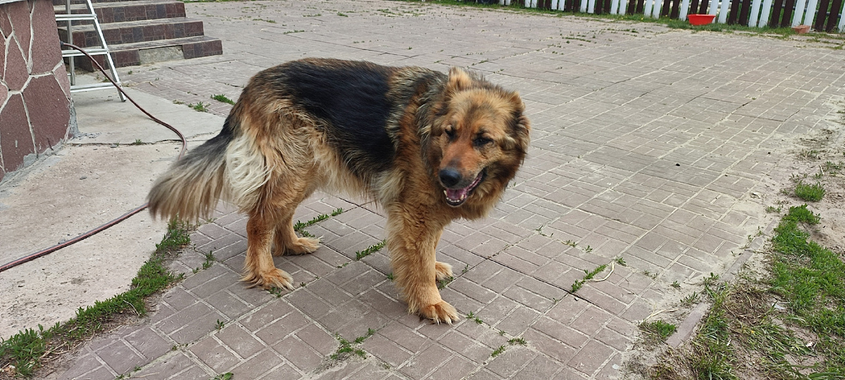 Лапы иногда уже подводят :(