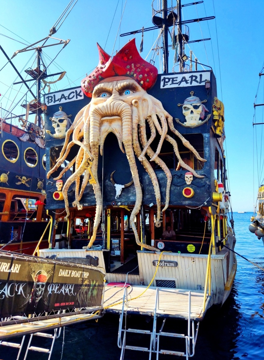 Экскурсионный корабль