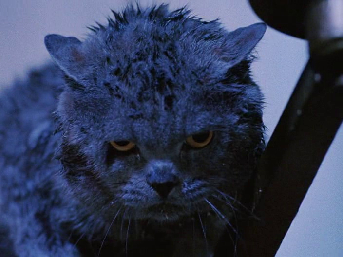 Кадр из фильма "Бездомные твари" (1991)