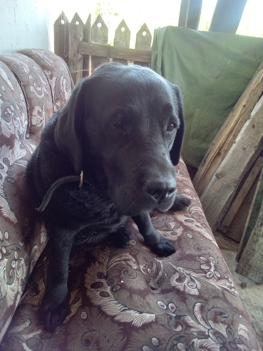 Фото автора.