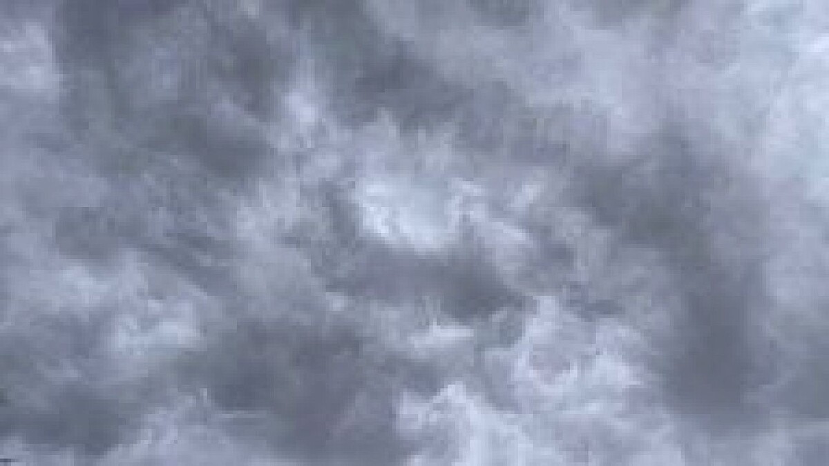    Фото: телеканал «Краснодар»