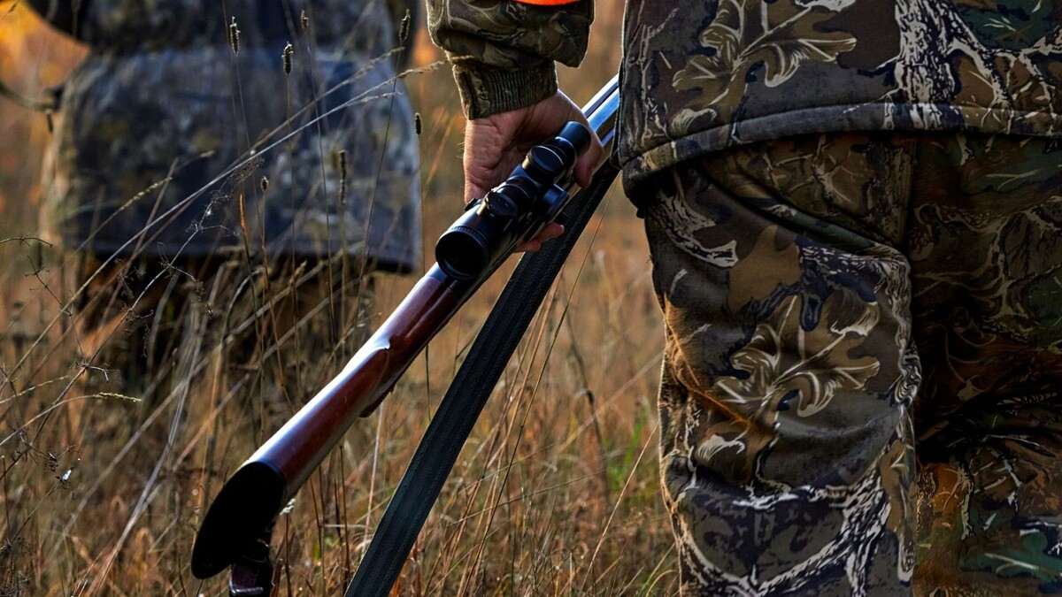    Фото: SVshot/Shutterstock/Fotodom