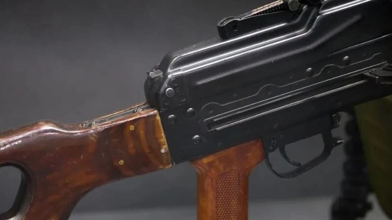    Фото: KONSTANTIN_SHISHKIN/Shutterstock/Fotodom