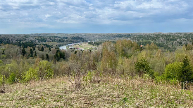 Фото: Александр Дрозденко/telegram