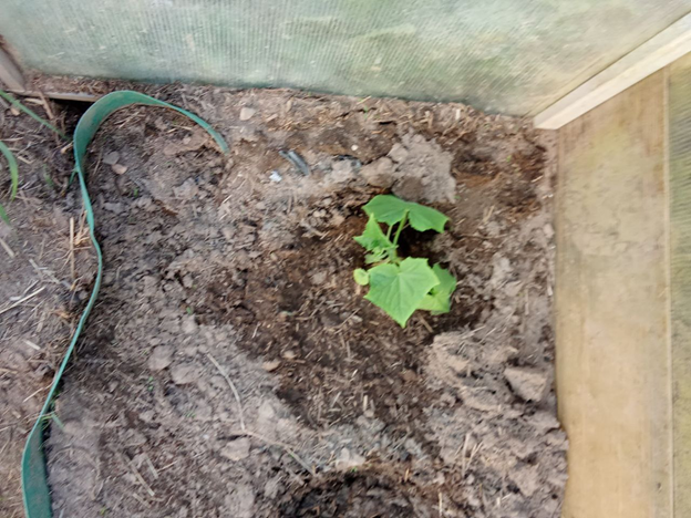 Личное фото