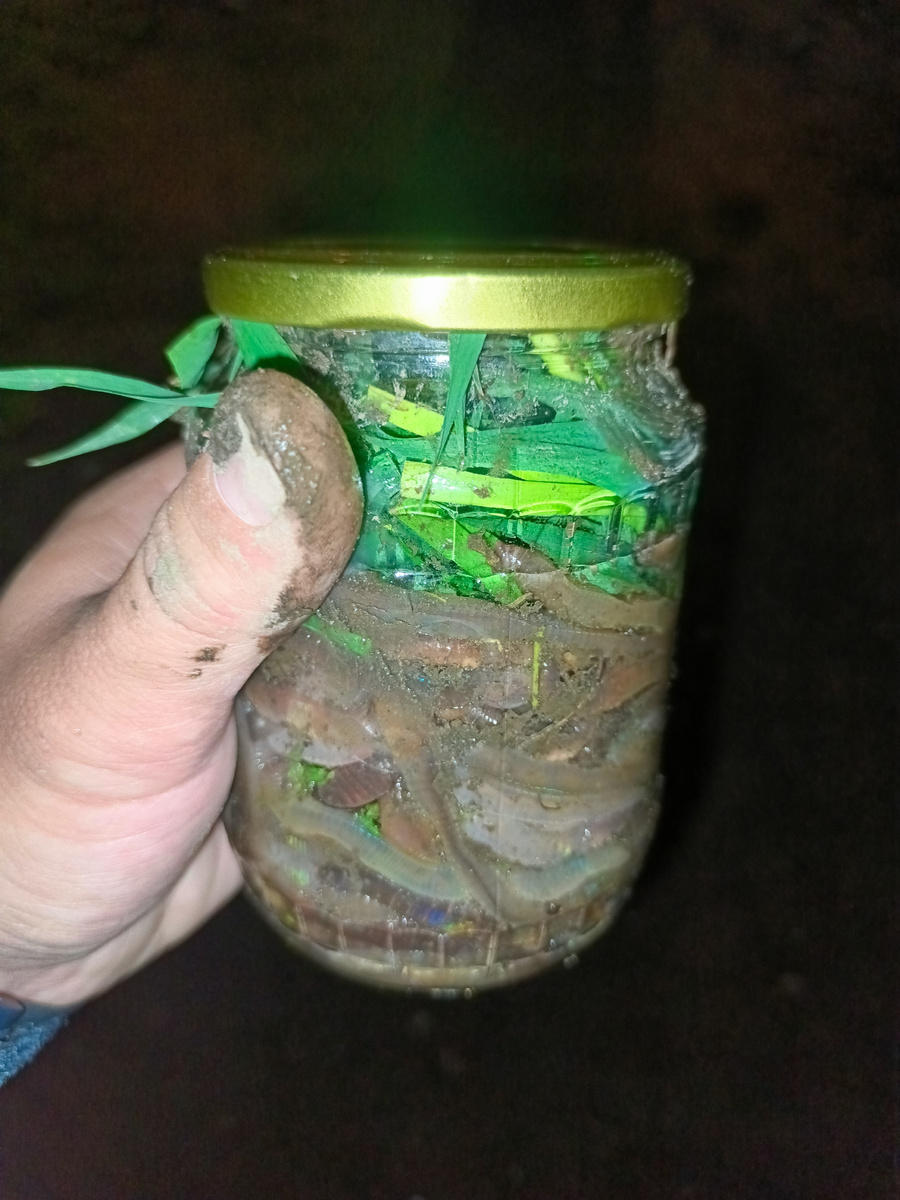 Почти тушенка - заготовки на зиму можно так делать) 