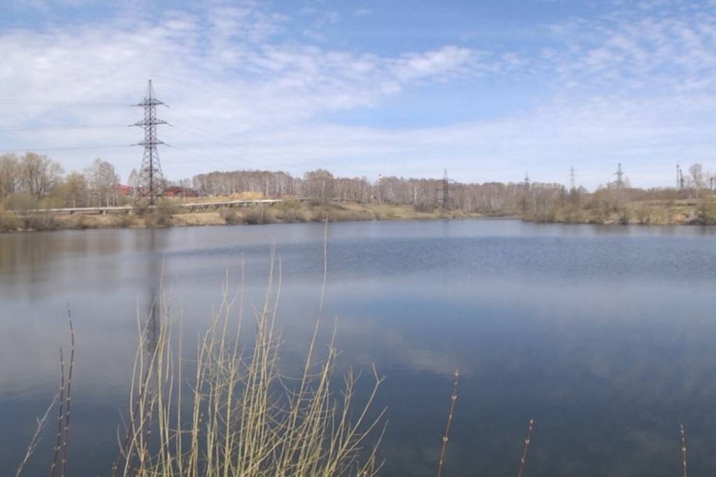    Фото: "Прецедент"