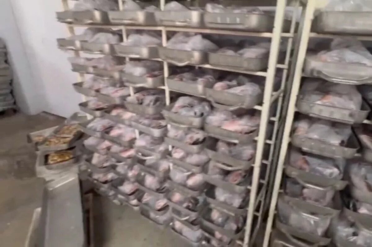    На Кубани изъяли 40 тонн нелегальных морепродуктов