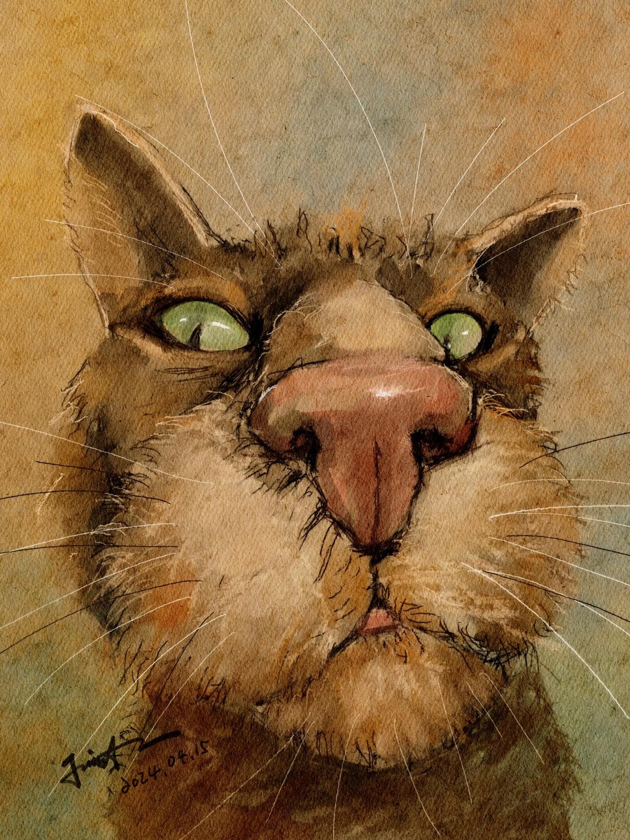 художник Дженнифер Чжан