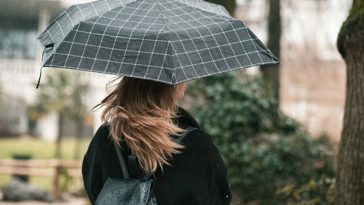     Автор: Unsplash