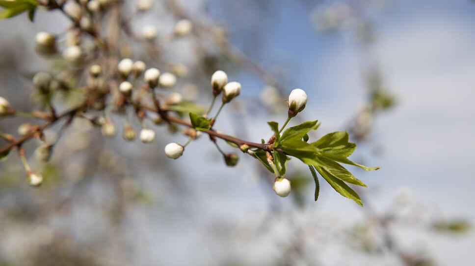 Фото: Ксения Федорова, Коммерсантъ / Коммерсантъ