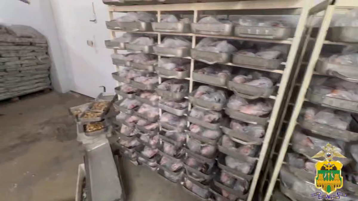    Фото: ГУ МВД России по Краснодарскому краю