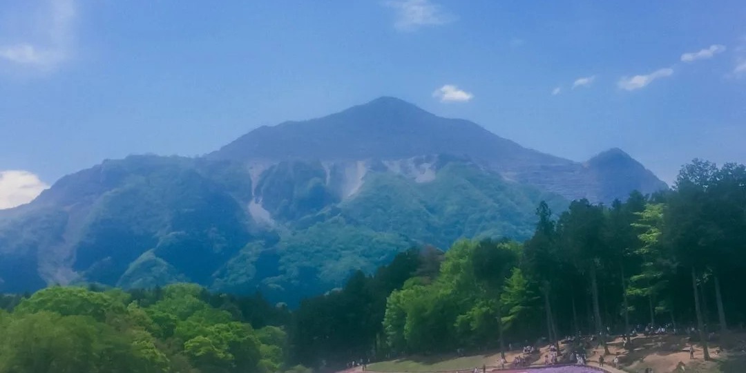 Чем заняться в Японии в мае: фестивали и не только
