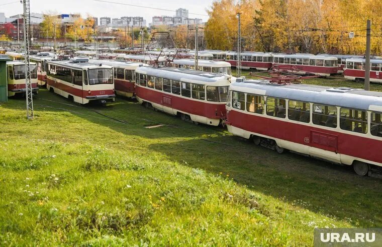 Лошкин потребовал постричь газоны вдоль трамвайных путей (архивное фото). Фото: Владимир Жабриков © URA.RU